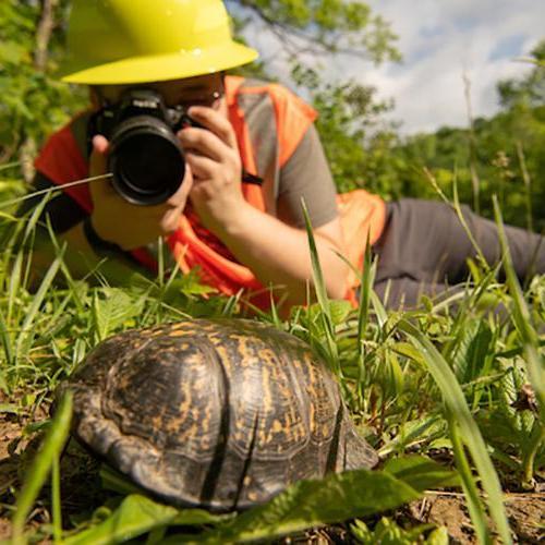 bet8九州登录入口 student in the field takes photographs of a turtle